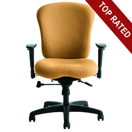 Ithica Task Chair 